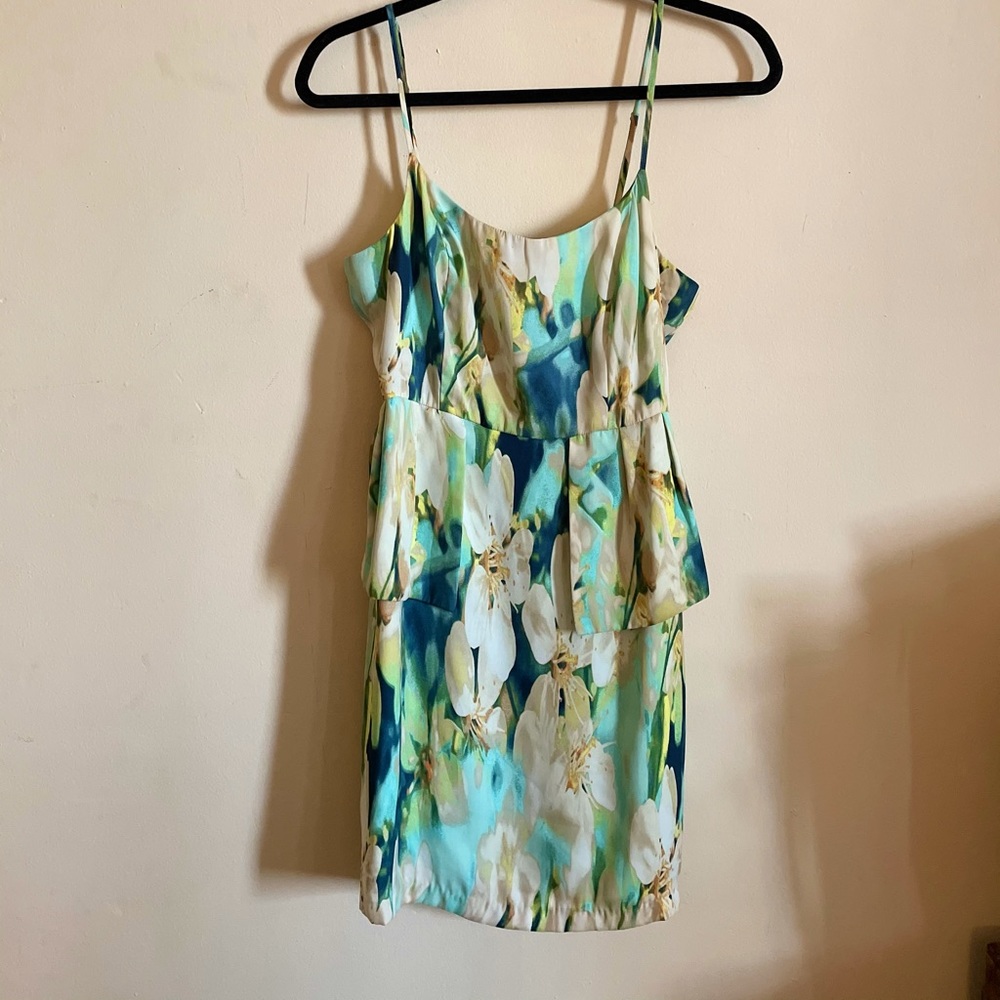 Beautiful BB DAKOTA Cocktail Dress